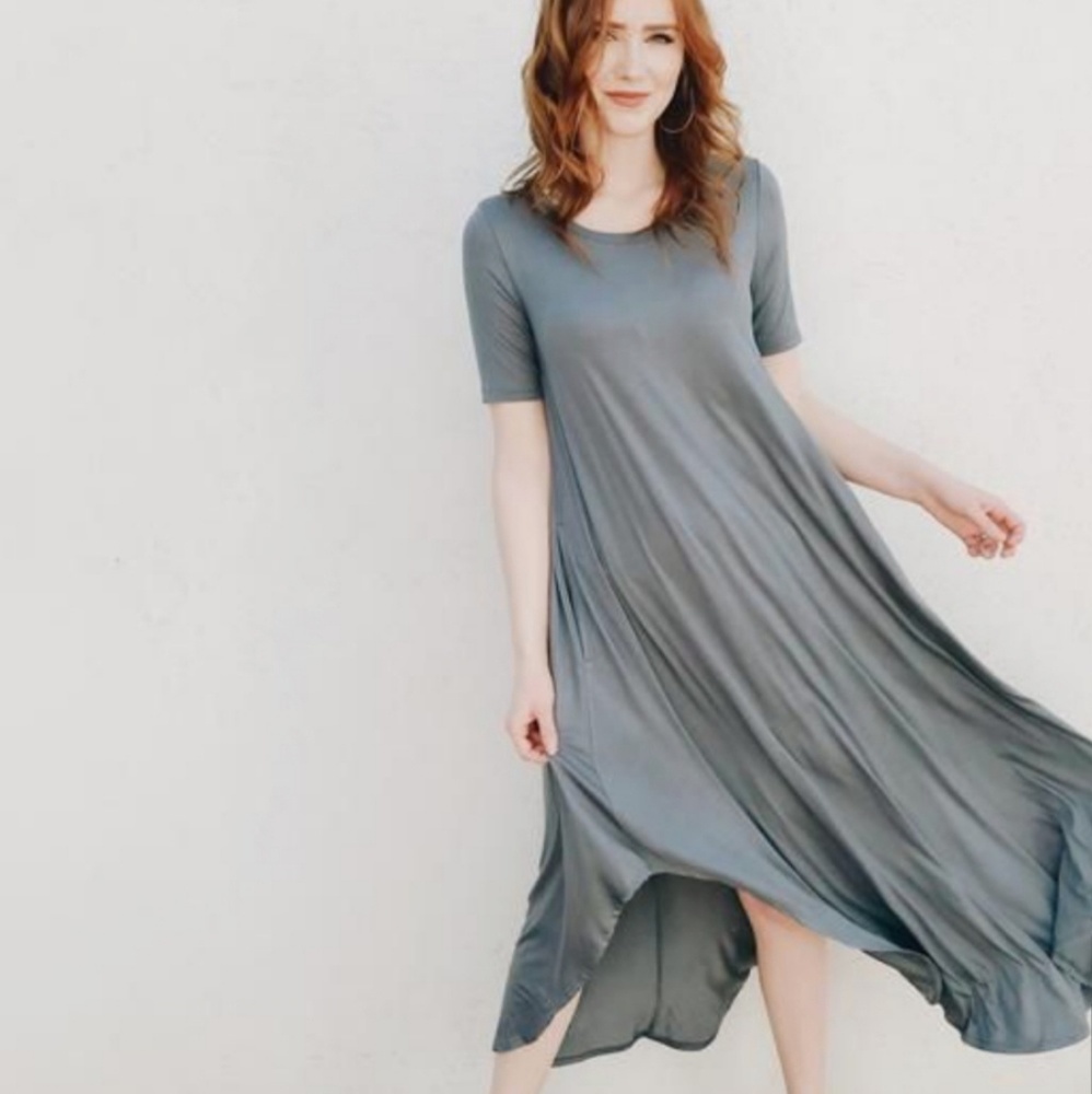 NWOT Carly Jean Los Angeles Sleeved "Stella" Dress